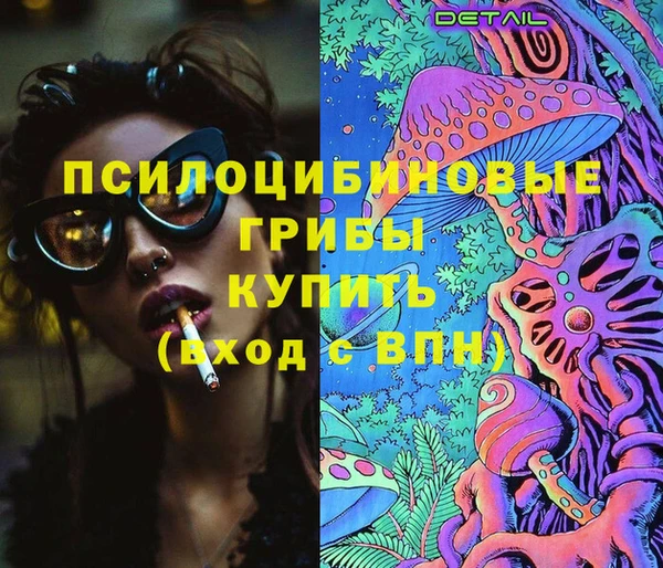 шишки Бронницы